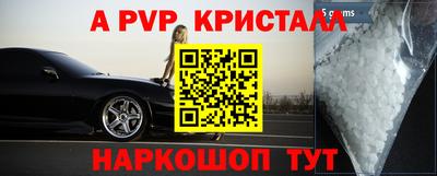 ешки Славгород
