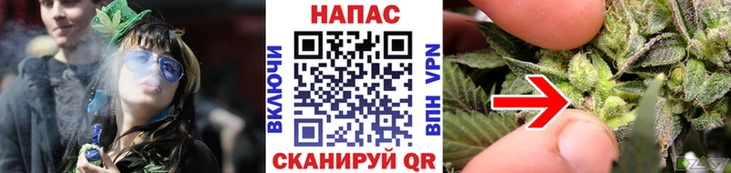 Бошки Шишки марихуана  где продают наркотики  Ртищево 